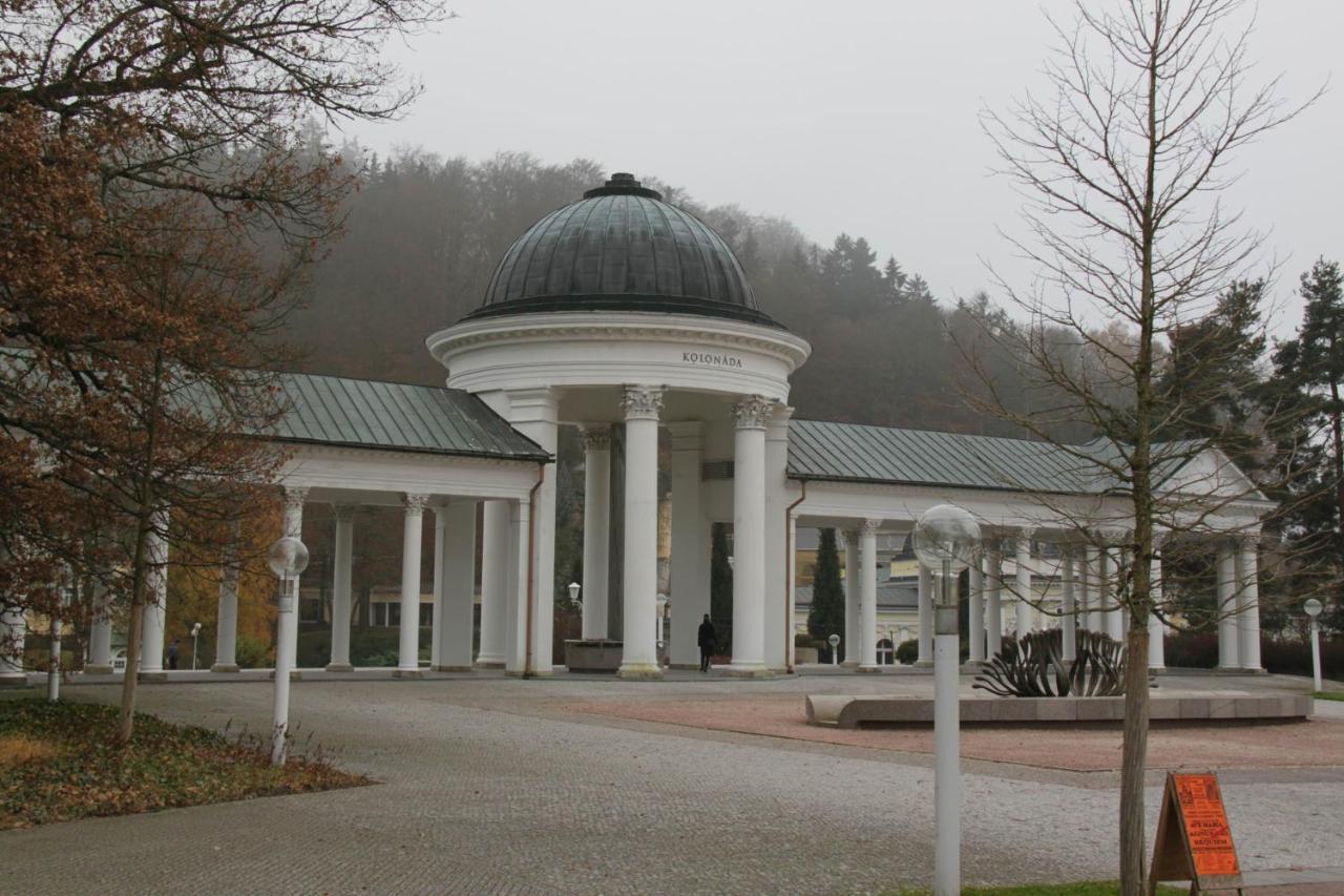 Apartman Karlovarska Mariánské Lázně المظهر الخارجي الصورة